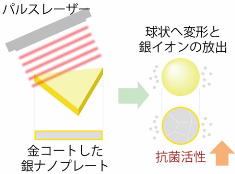 金コートした銀ナノプレート